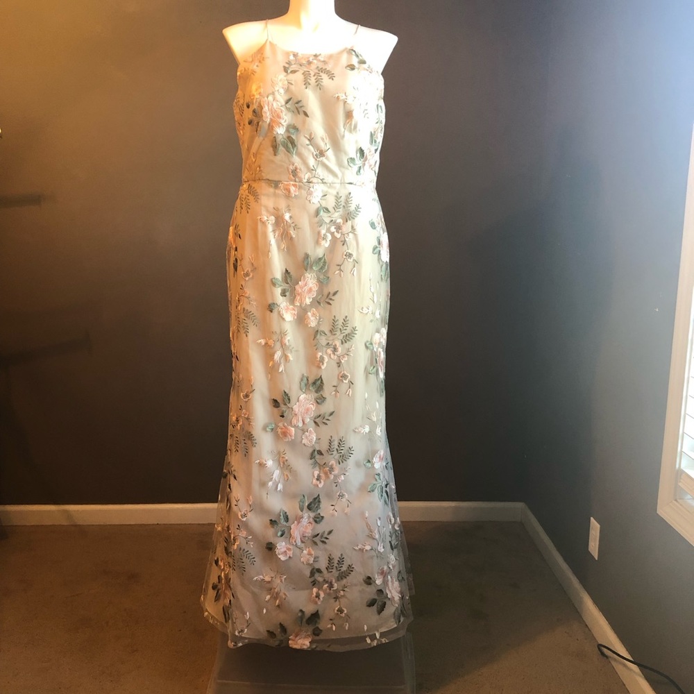 Jenny Yoo Full Length Evening Dress.